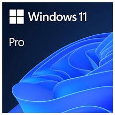 Windows 11 Pro